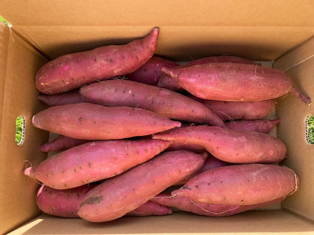 茨城県産シルクスイートL40キロ　YU品