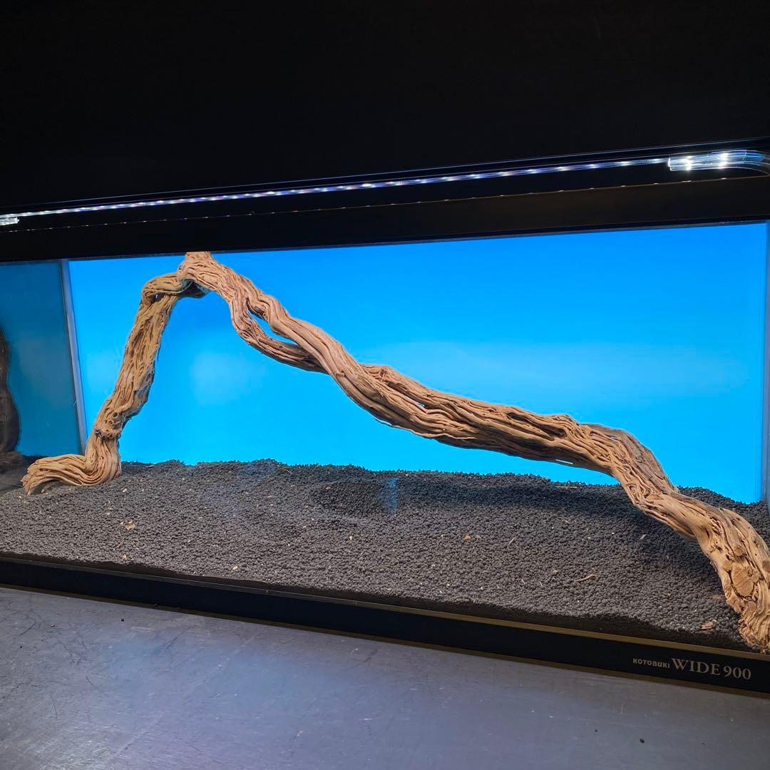 MTW-6748 蔦流木1点物　90cm水槽用流木　アクアリウム