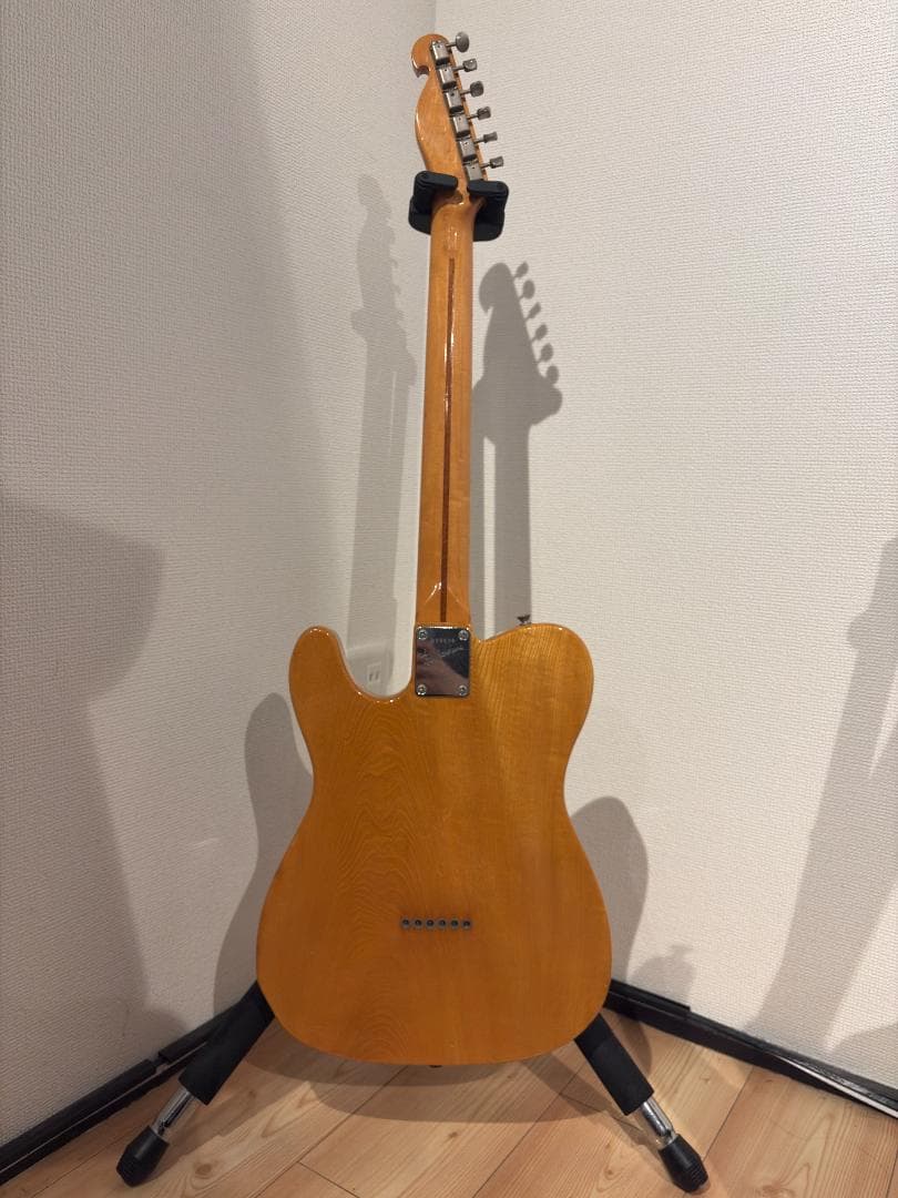 Bill Lawrence Trigger II テレキャスター