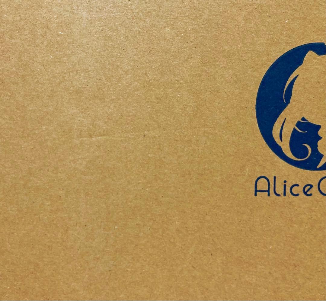 【あみあみ限定版】「リュー・リオン」レベル6Ver. 1/7　フィギュア