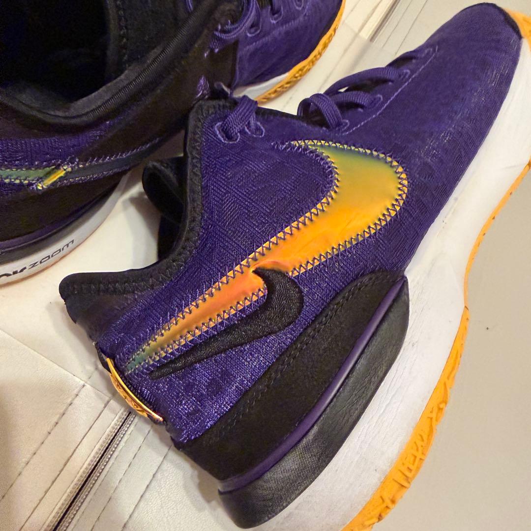 NIKE ズームレブロンネクストGEN DR8788-500 29cm