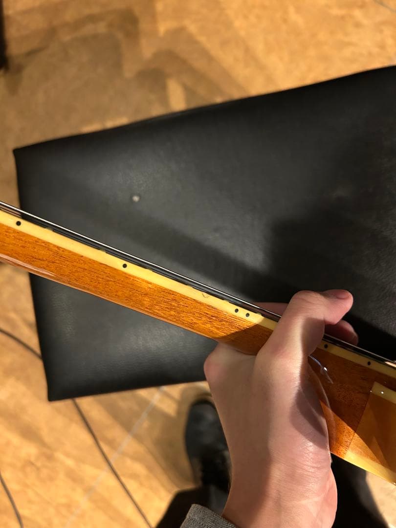 【ピアレス】Epiphone CASINO