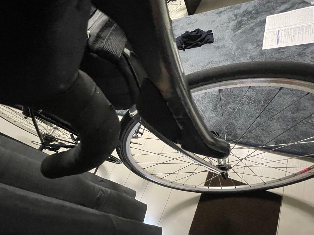 RALEIGH Carlton-N 700c型 420 福岡発　2018年製