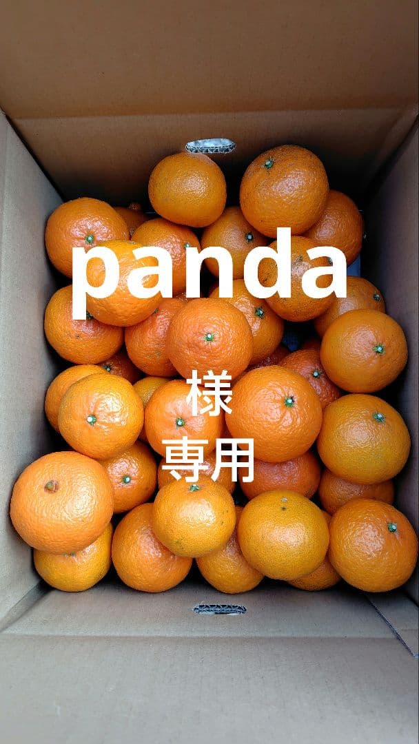 津之輝20㎏(家庭用)panda