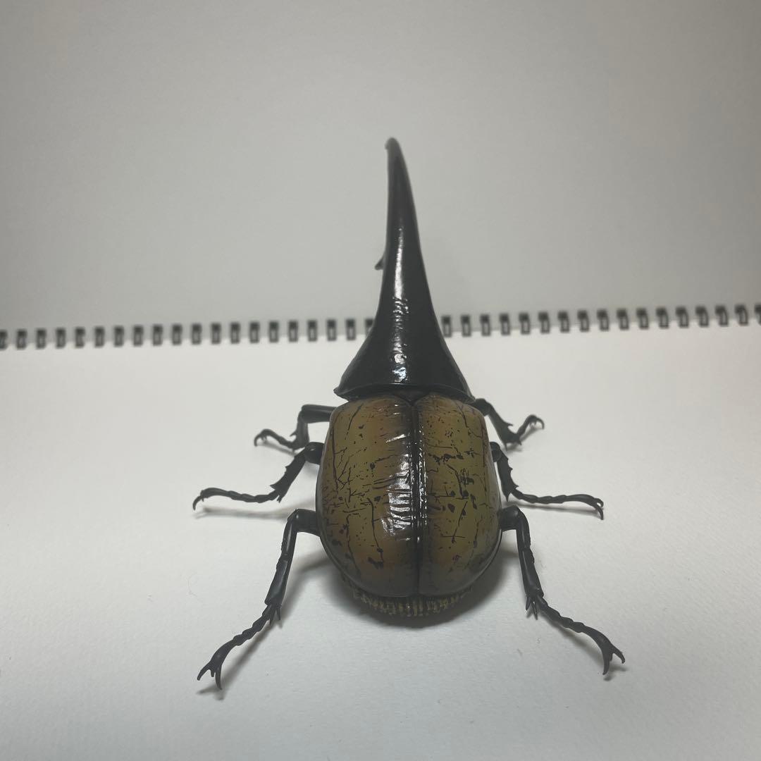 いきもの大図鑑　アドバンス　オンライン版　ヘラクレス　2種