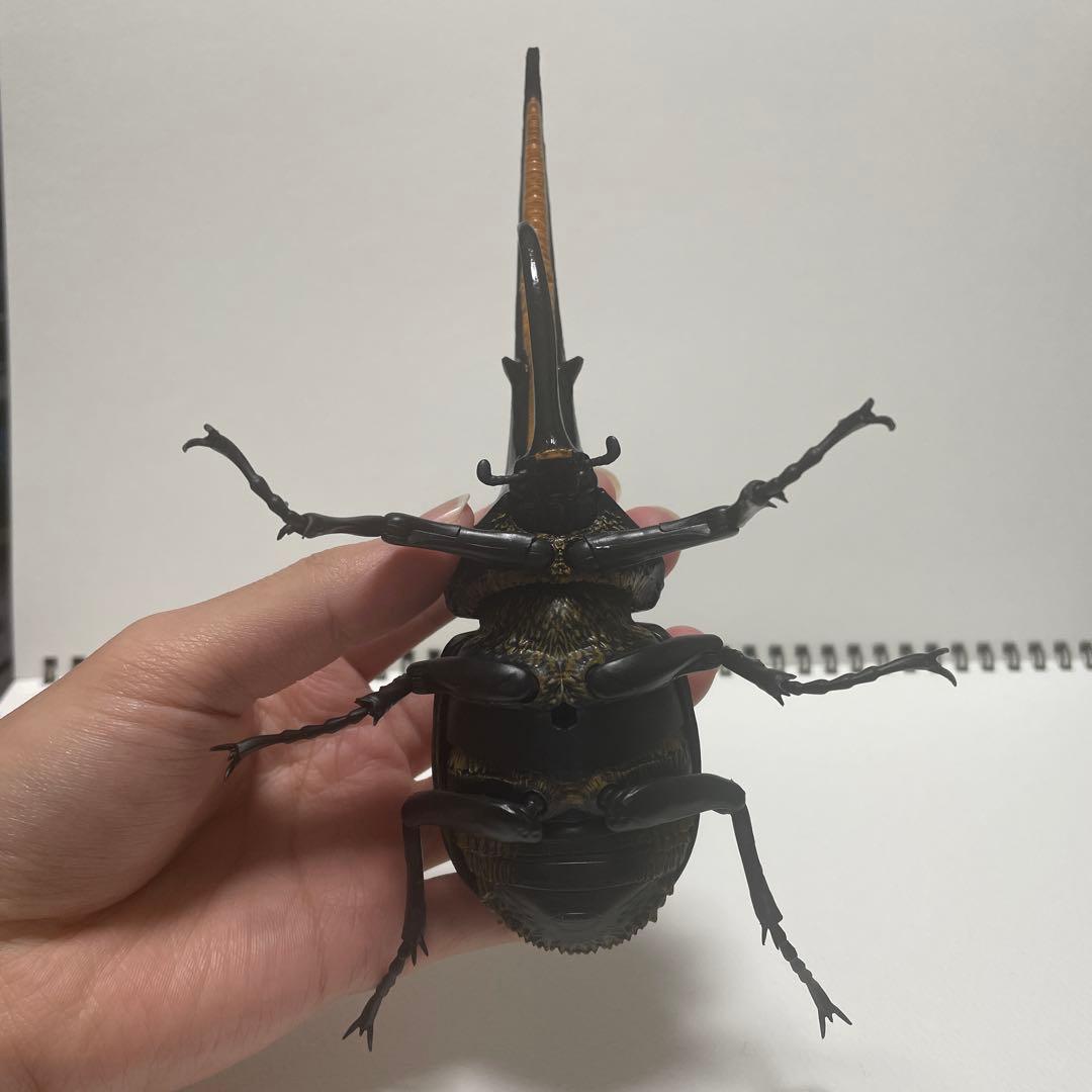 いきもの大図鑑　アドバンス　オンライン版　ヘラクレス　2種