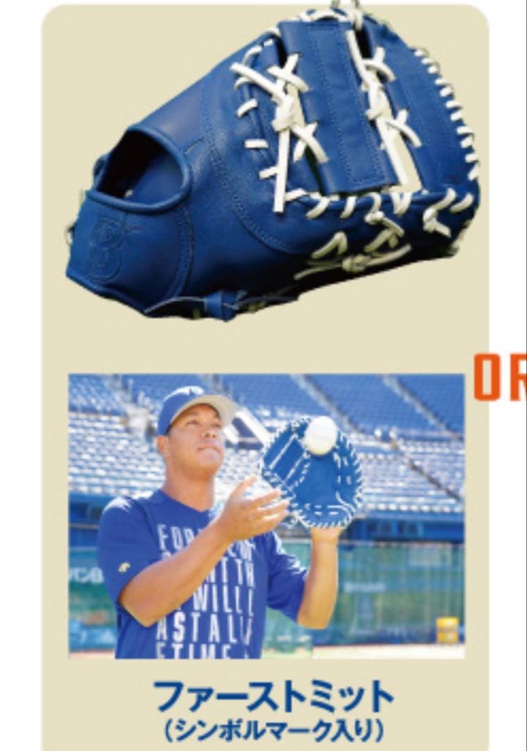 ベイスターズ 2020年ファンクラブ特典 ファーストミット 2点セット