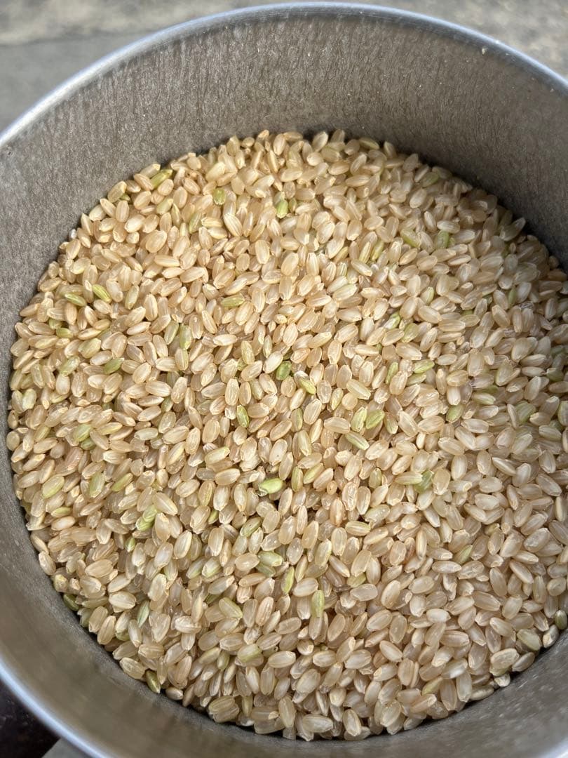 令和7年三重県産コシヒカリ　米　玄米20kg