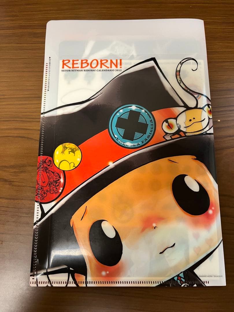 REBORN 2012年カレンダー