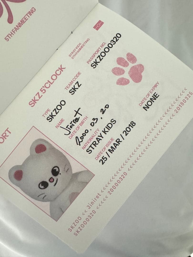 StrayKids テディ　ジニレット