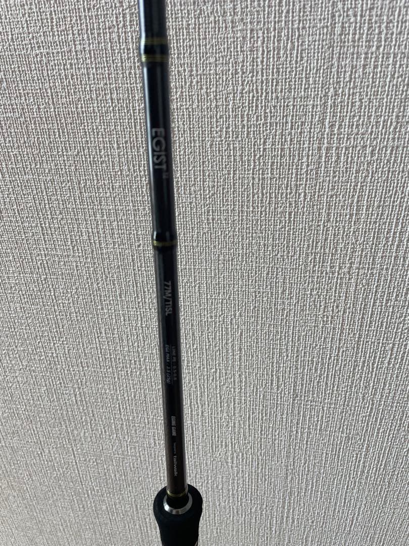テイルウォーク エギングロッド EGIST (エギスト) TZ 77M/TISL
