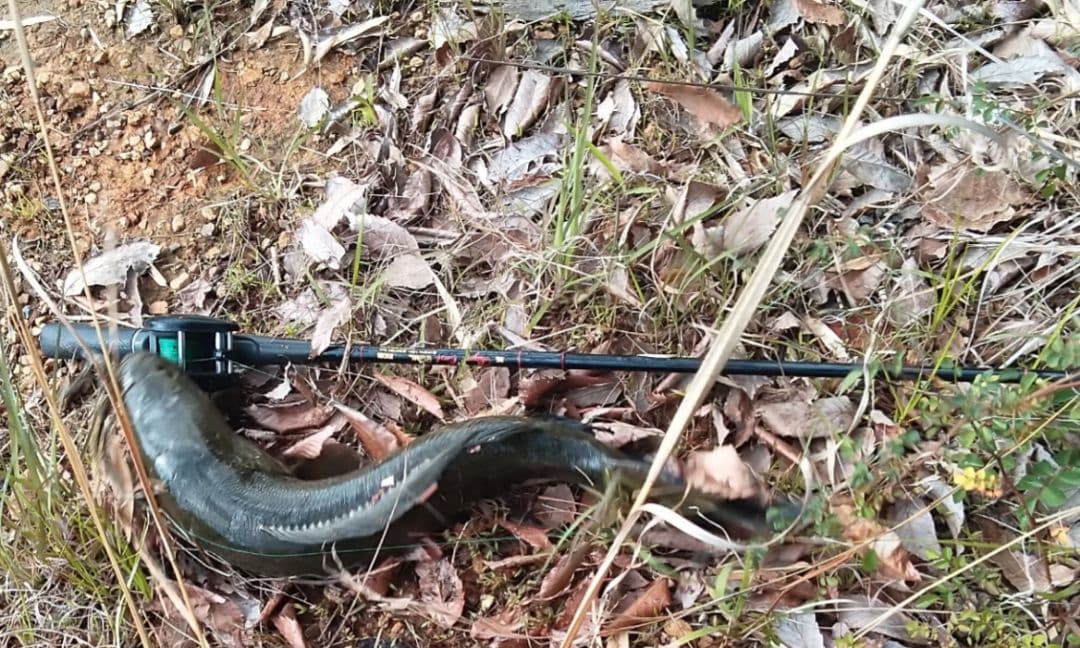 RYOBI Caspro 400V リョービ　キャスプロ　オールドリール