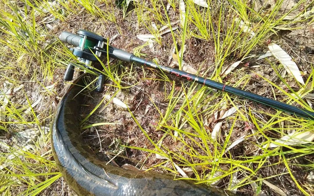 RYOBI Caspro 400V リョービ　キャスプロ　オールドリール