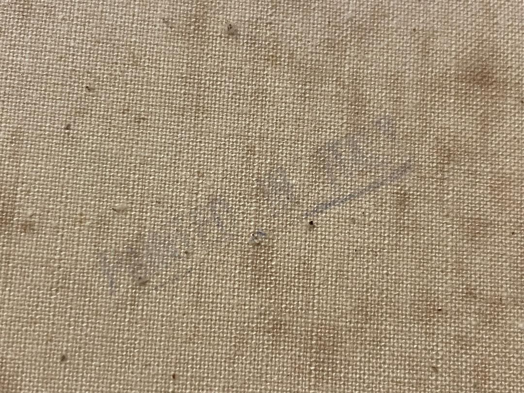 「真作」トニ・ボルディニョン　風景画　油彩画　額装　サイン有り　F4号