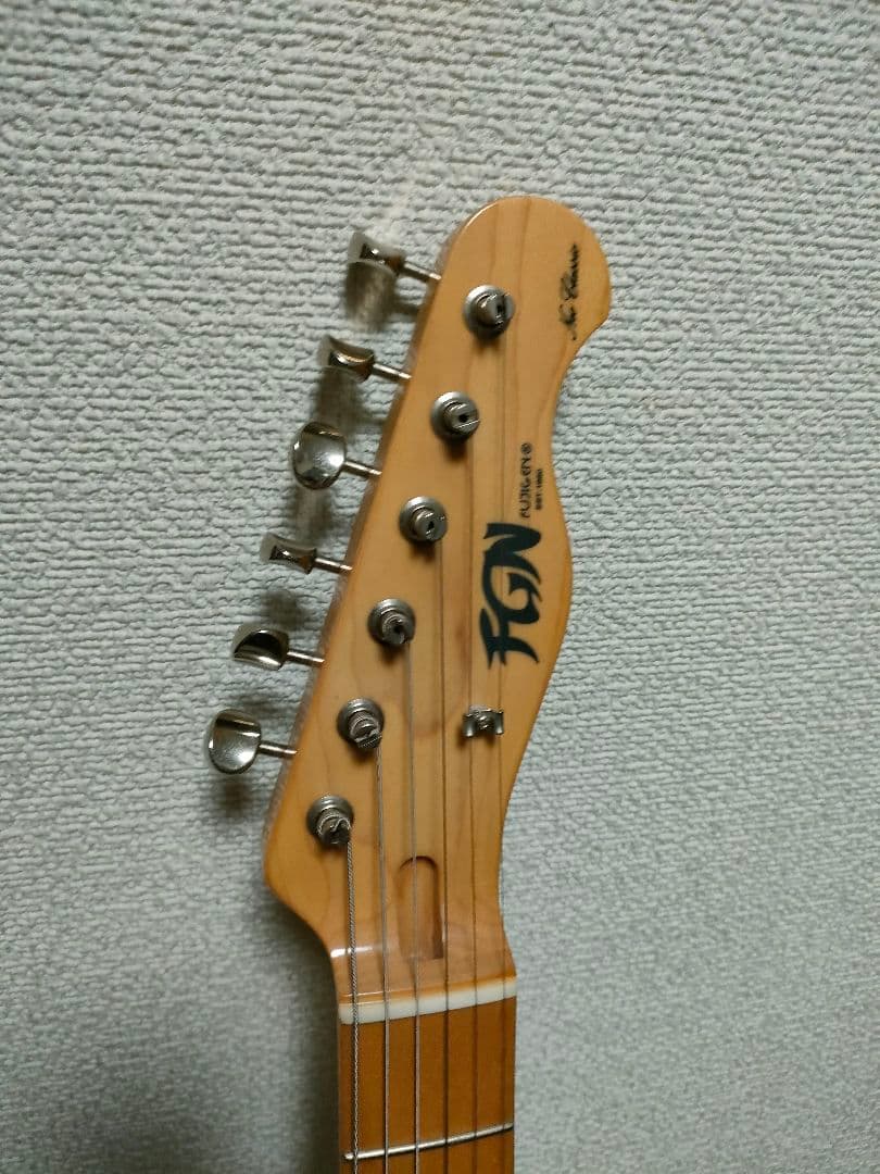 FGNフジゲン テレキャスターシンライン NTL 10M AHT - WB/01