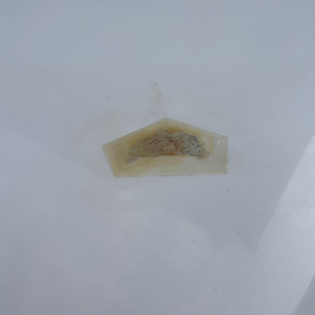 【お値下げ可能】CHANNEL  AVERAGE JOE 5'3\"