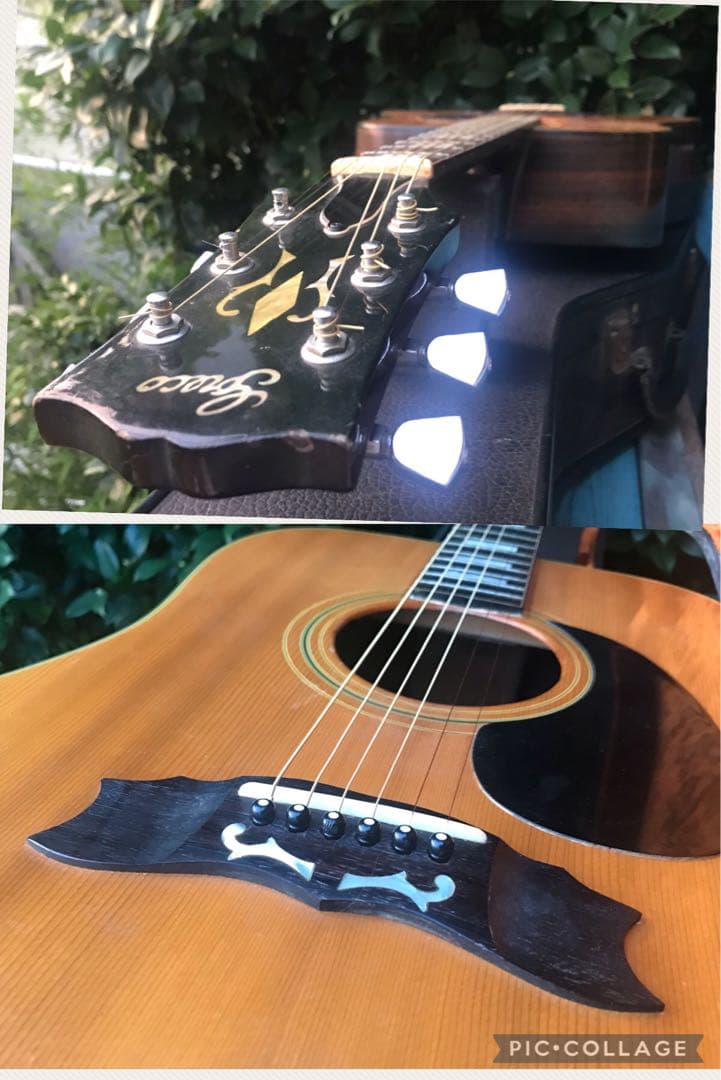 greco 401 ヘリテージ model フジゲン