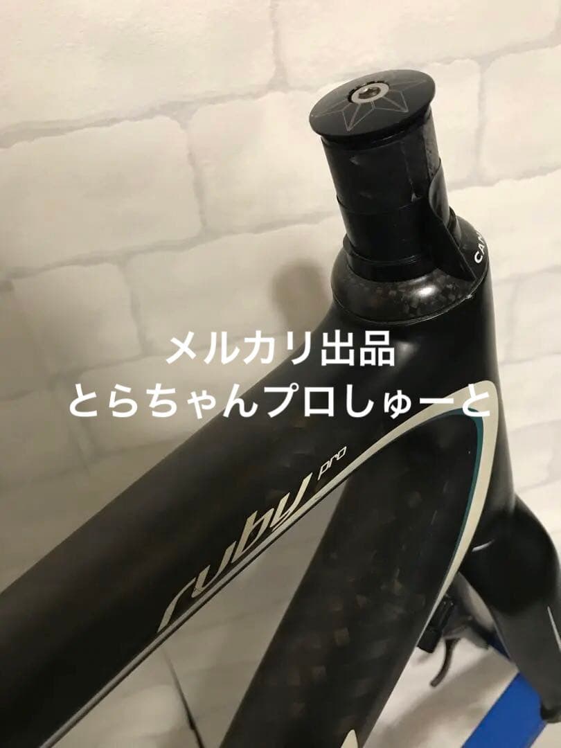 スペシャライズド　Ruby Proフレーム+スパカズボトルゲージ付