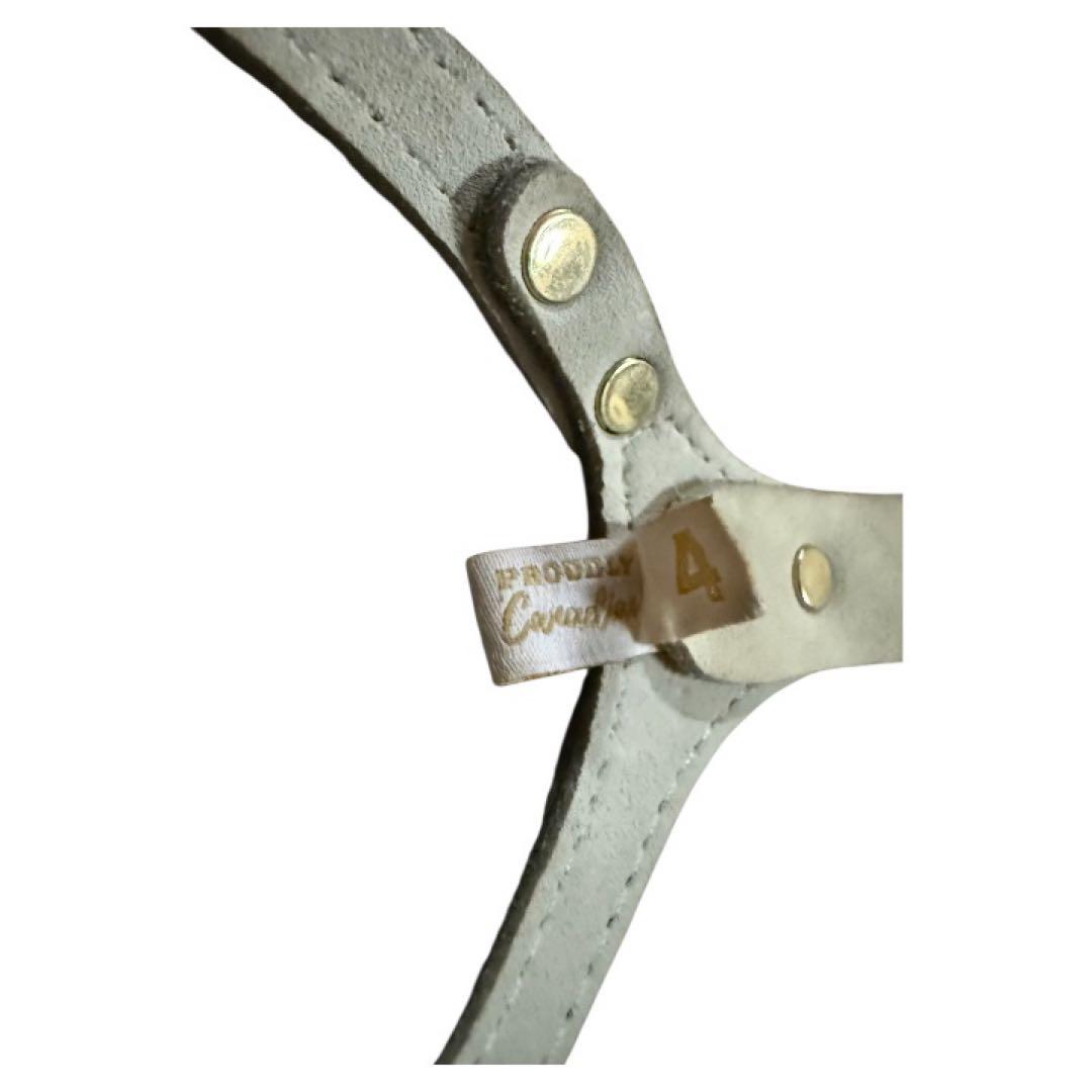 【美品】Buddy Belt サイズ4 本革 カナダ製 小型犬用 正規品