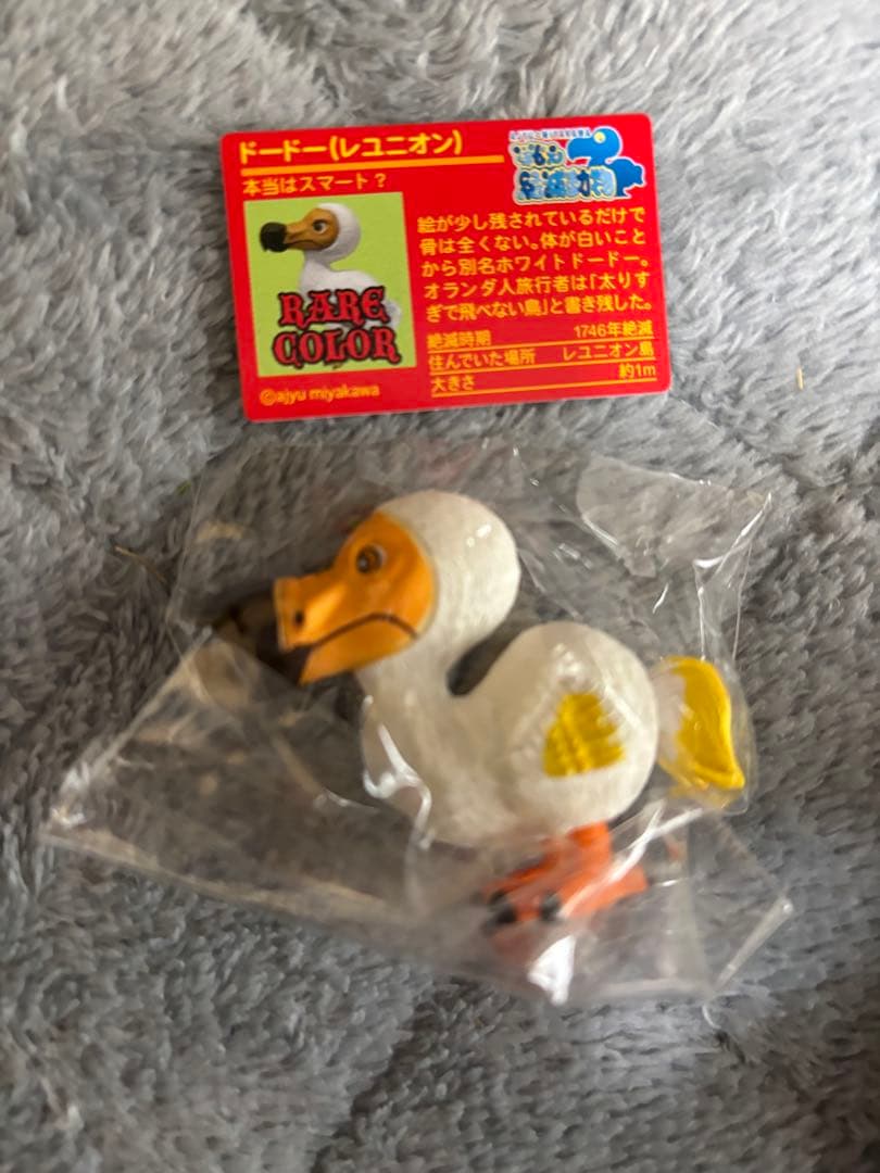 戦え絶滅動物PART2 宮川アジ　ドードー　マンモス　オオカミ　アシカ　キタタキ