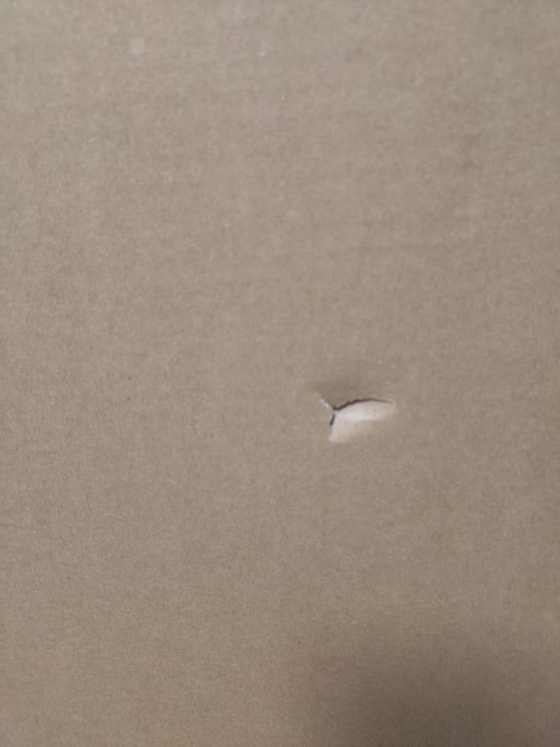 【新品未開封】PROPLICA ゼルダの伝説 マスターソード（輸送箱にキズ有）