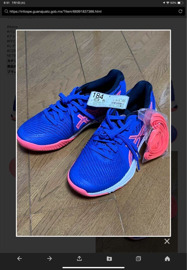 アシックス AsicsバレーボールシューズNTBRNR BLSTC FF 2