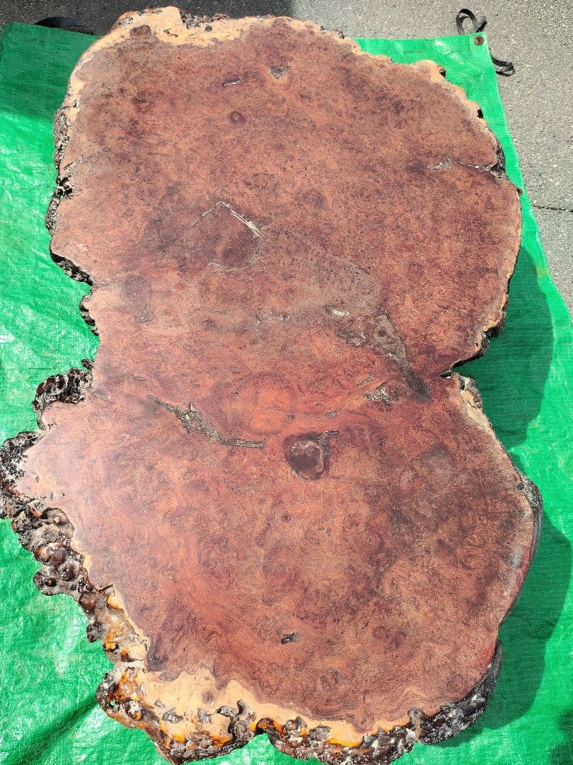 珍品　花梨の瘤杢目の輪切り一枚板テーブル足付き　表面加工前