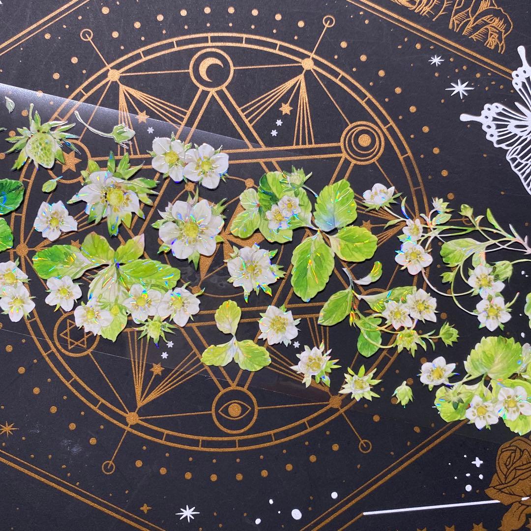 【9243】海外　マステ　中古巻　貝殻光マスキングテープ　苺　果物　お花　装飾系