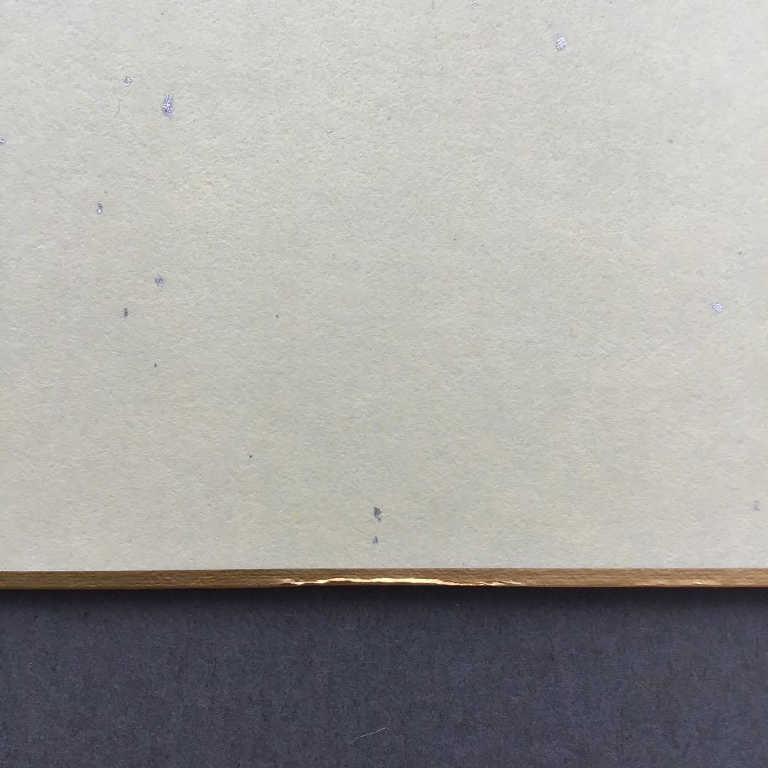 色紙　若乃花、貴乃花直筆揮毫手形　記念写真付　畳紙　配送用袋　S1040SS