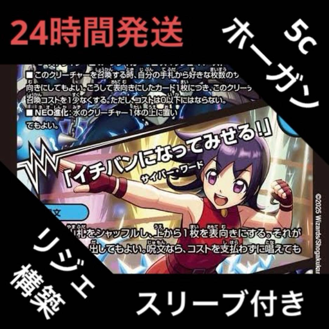 5cホーガン デッキ