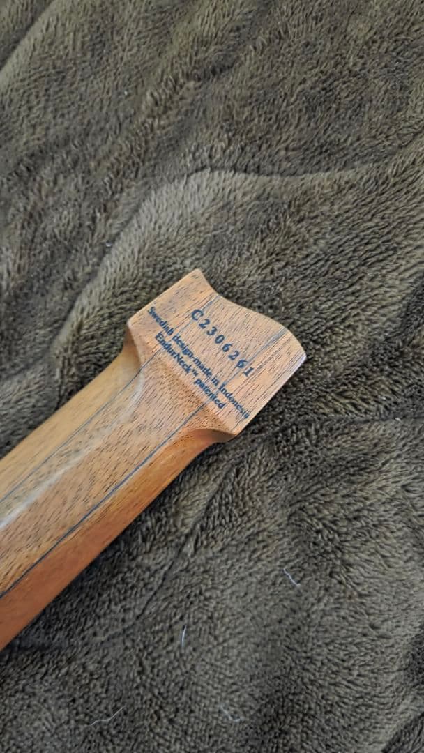 Strandberg salen pliniモデル ヘッドレスギター