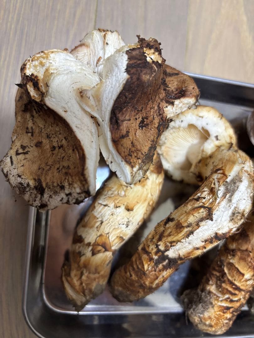 岩手県産マツタケ346g 裂けあり