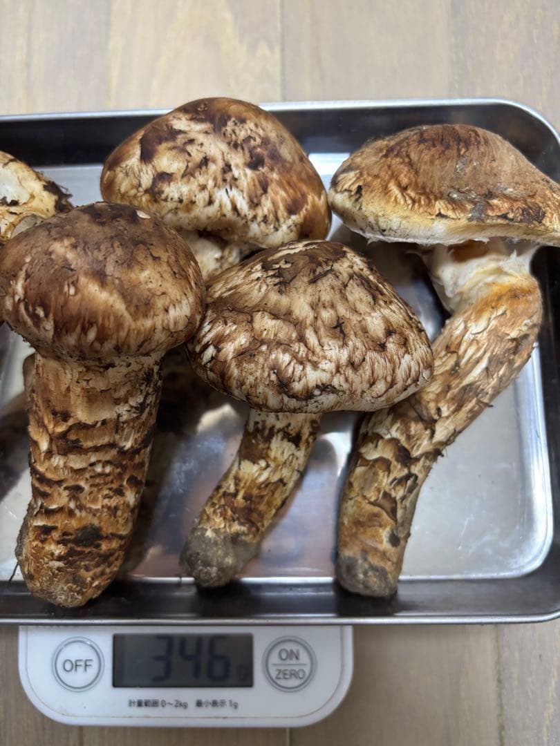 岩手県産マツタケ346g 裂けあり