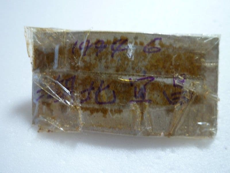 【外国産オサムシ標本】エリスカブリモドキ/湖北省.宣昌産/34.5mm