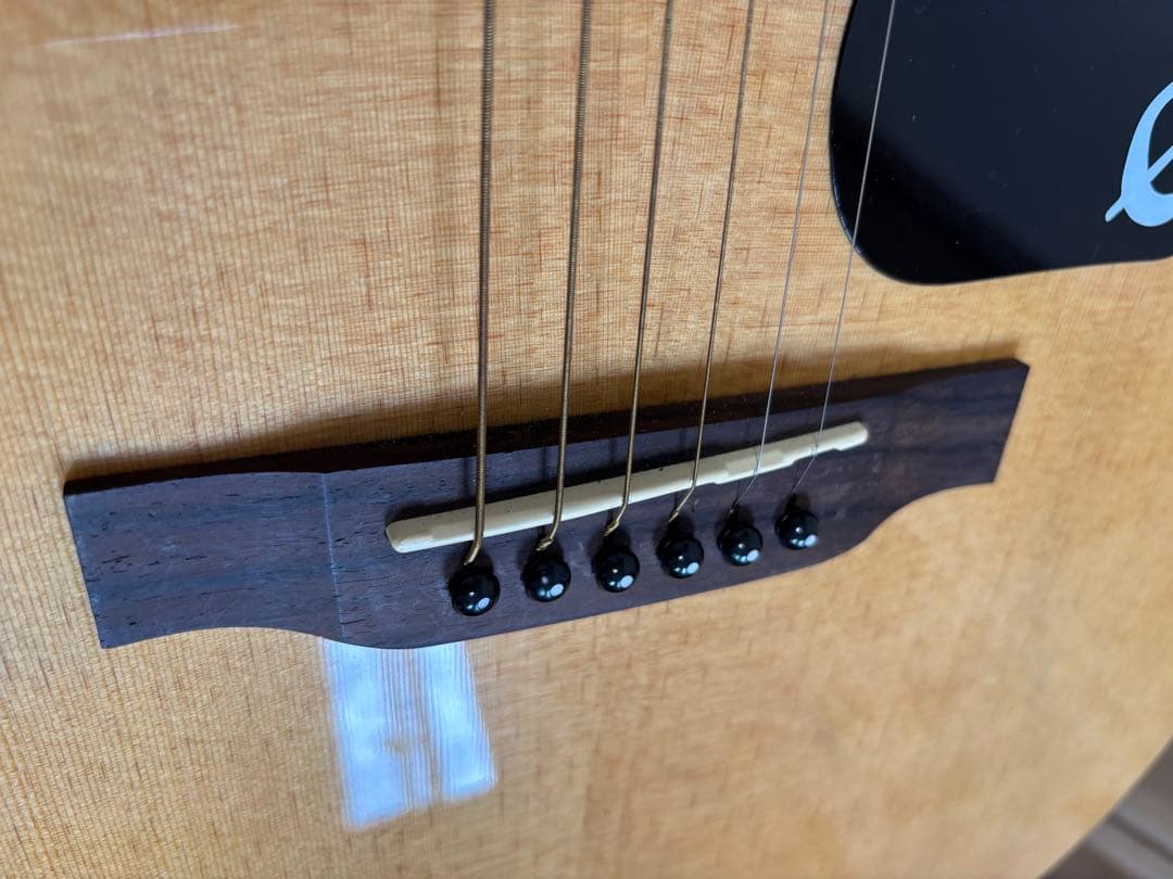 Epiphone 　DR-100NA エピフォン　アコースティックギター