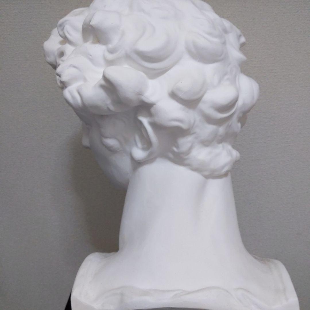 メディチ 石膏像