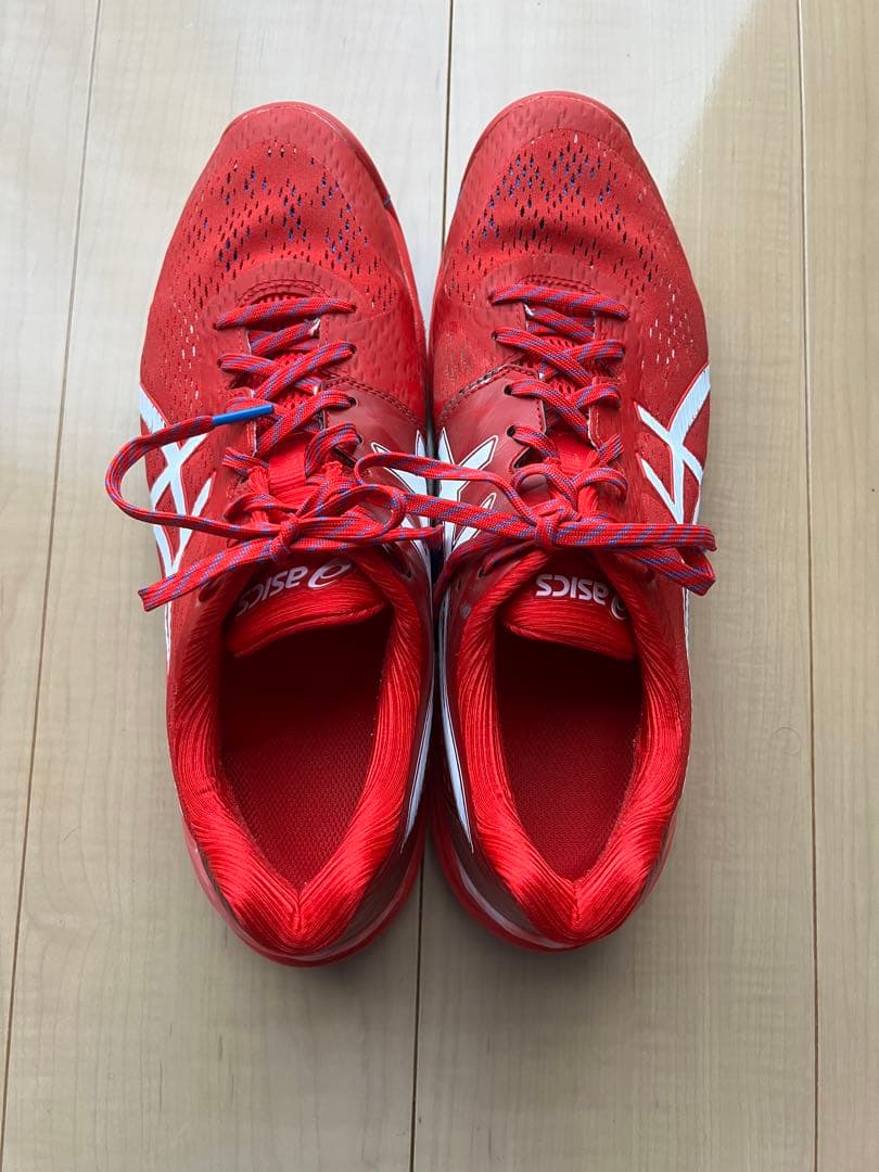 asics スカイエリート　限定色(27.5センチ)