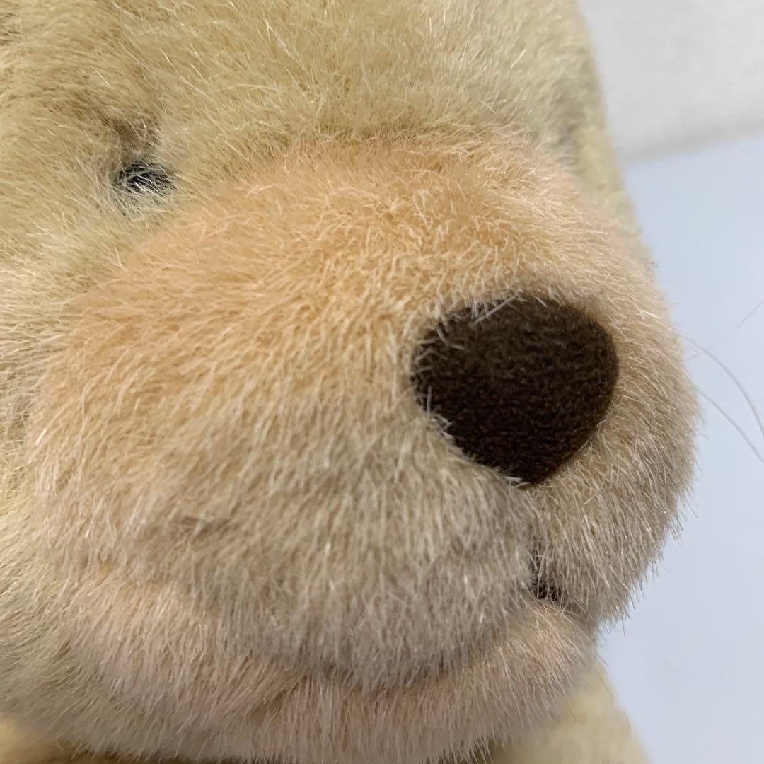 ころころ 子犬 絵本 ドッグ dog アニマル 動物 Mサイズ レア 希少 貴重