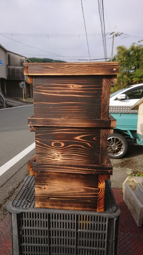 蜜蜂巣箱３段監視扉付