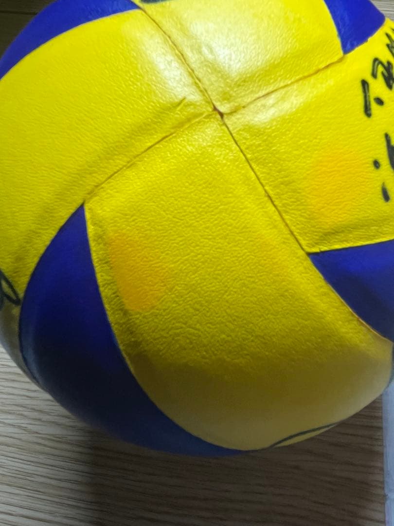 Mikasa MVA30 バレーボール DENSO AIRY BEES サイン入