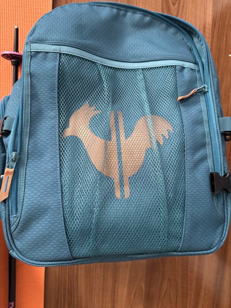 【高級美品】ROSSIGNOL レディース スキー４点セット初心者〜上級者！