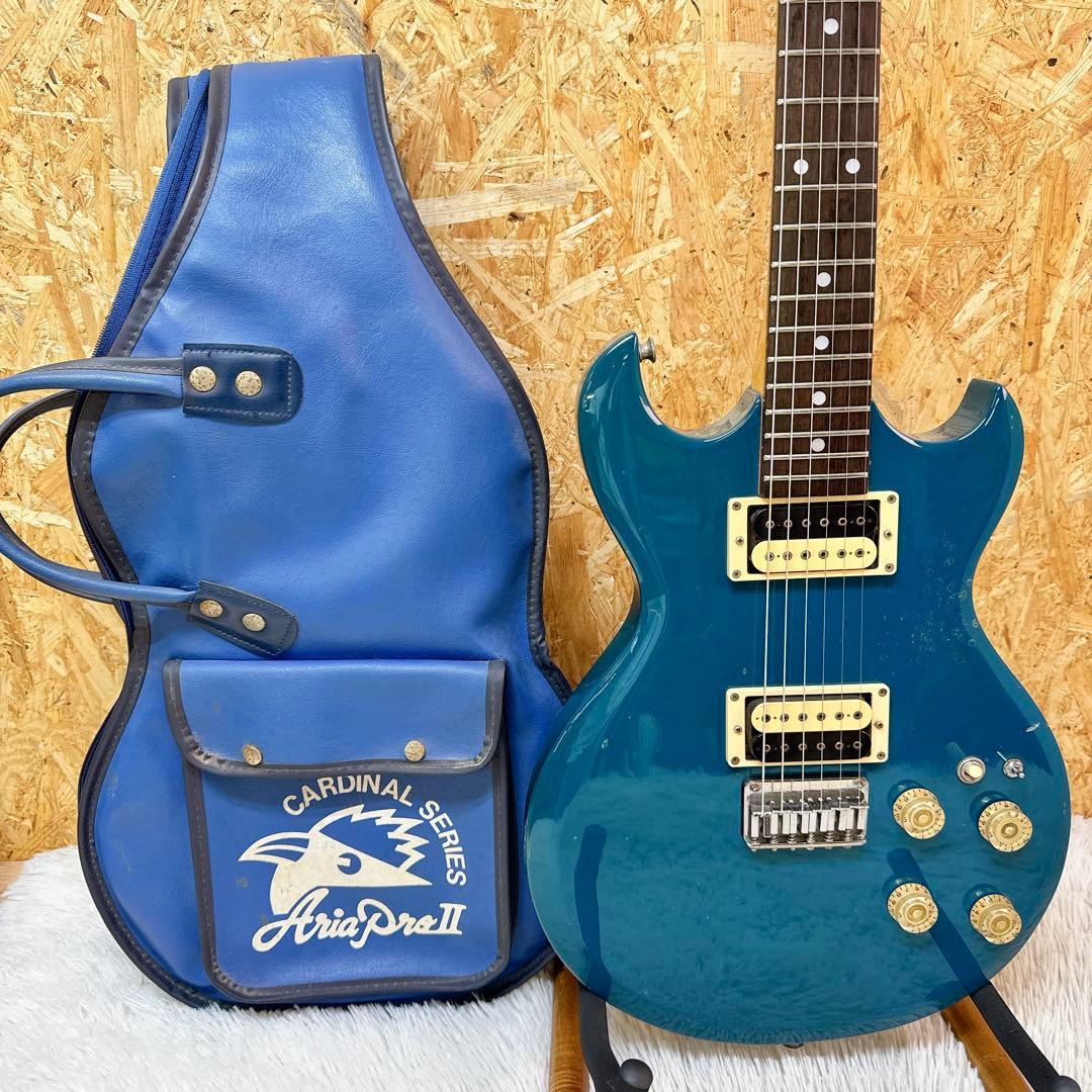 AriaProⅡ CS-350 MATSUMOKU/マツモク製 オリジナルケース