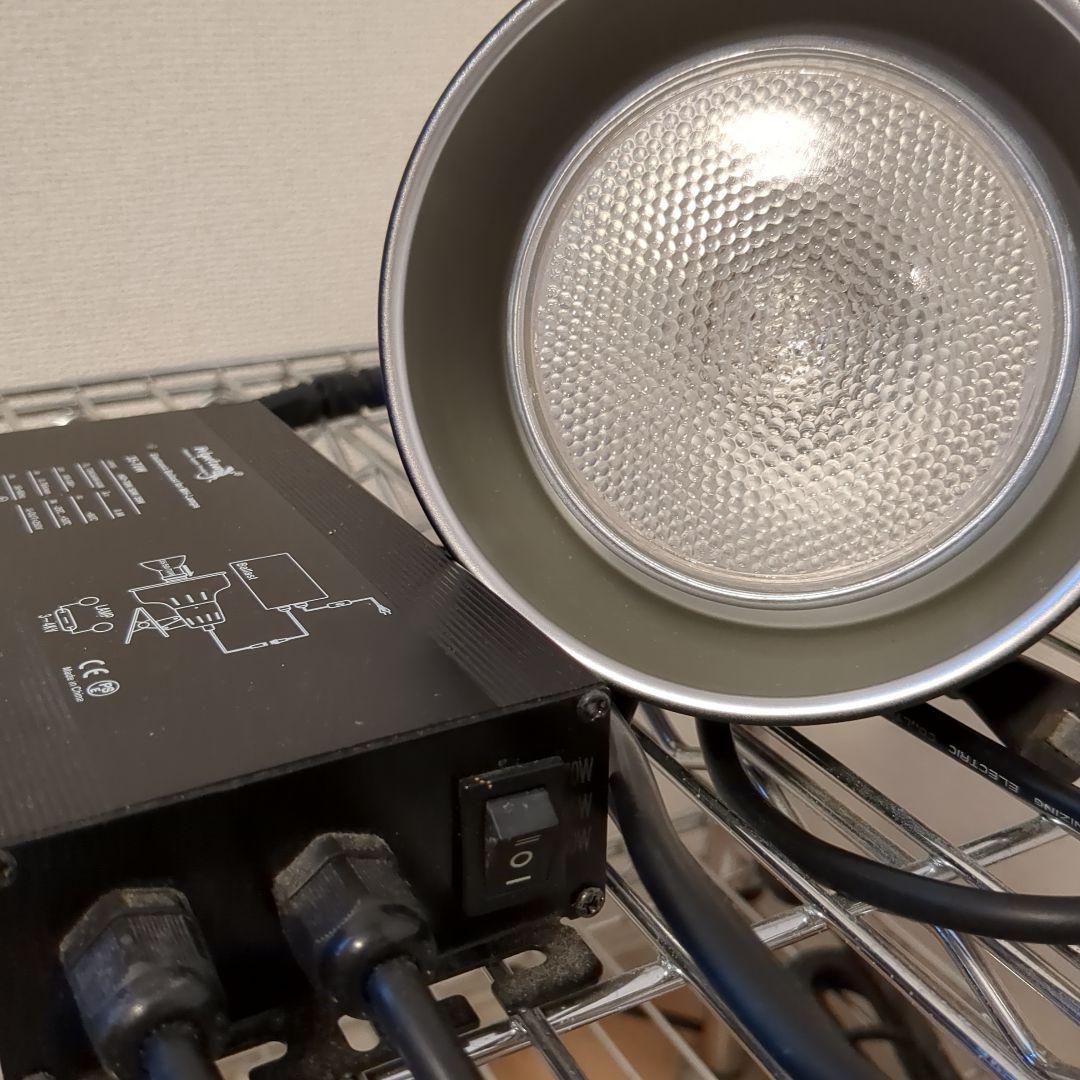 爬虫類照明　メタハラ