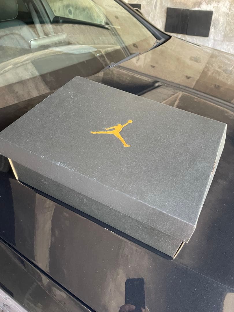 シューズ(男性用) JORDAN ADG5