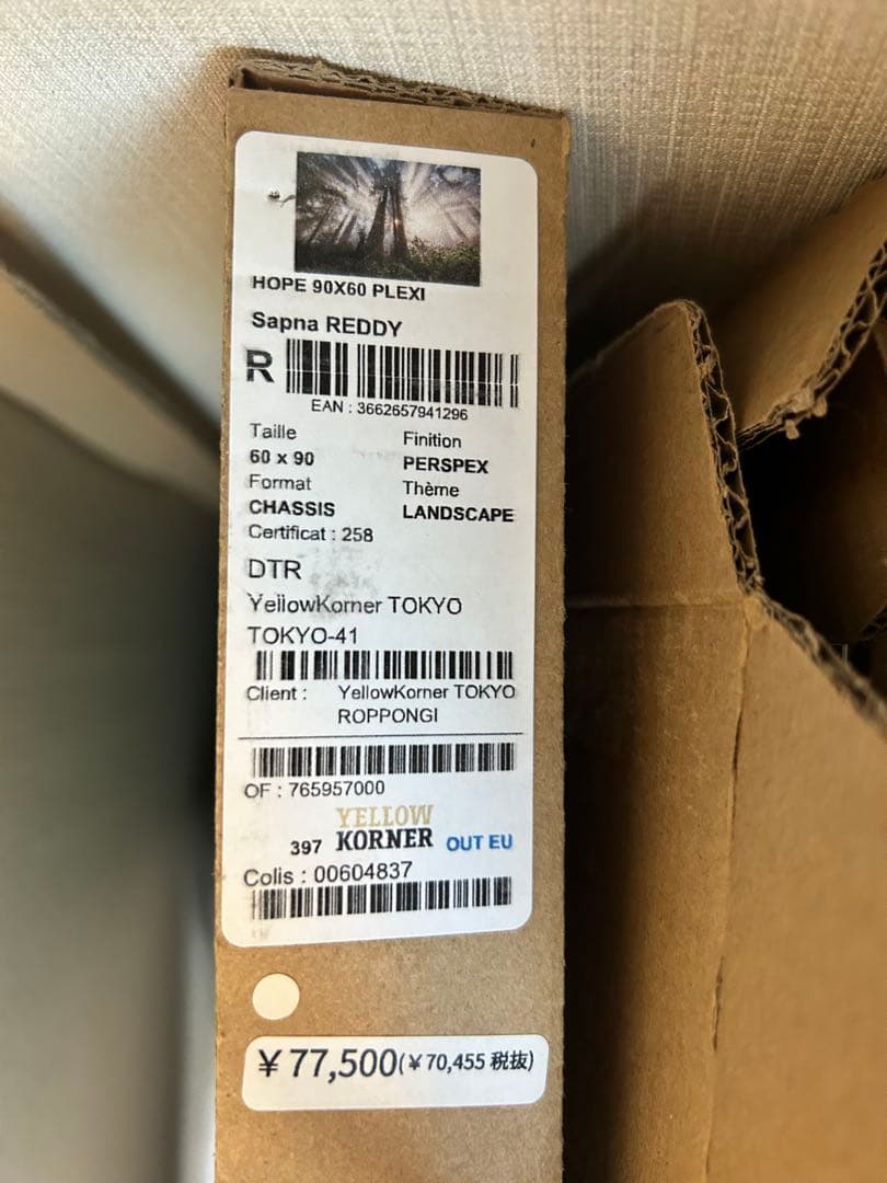 幻想的な森林の風景 Lサイズ アート写真