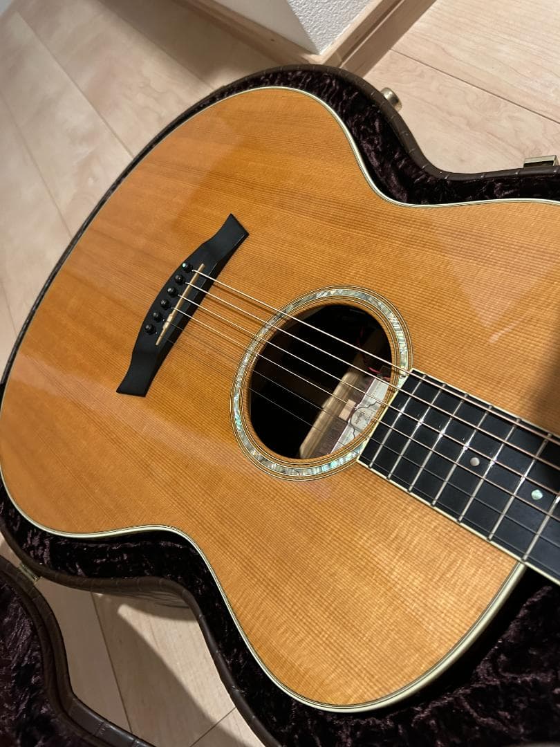 TAYLOR GS (GS8 816 同等) Fishman エレアコ テイラー