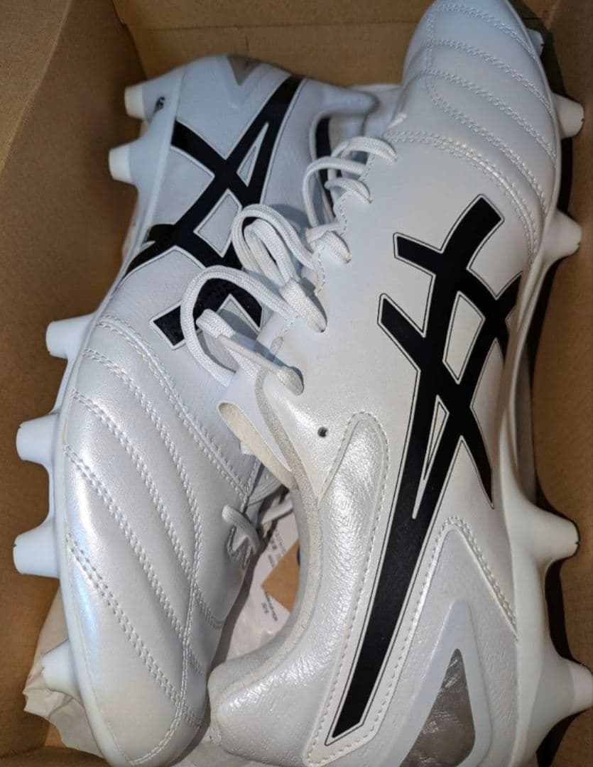 シューズ ASICS DS LIGHT 29cm