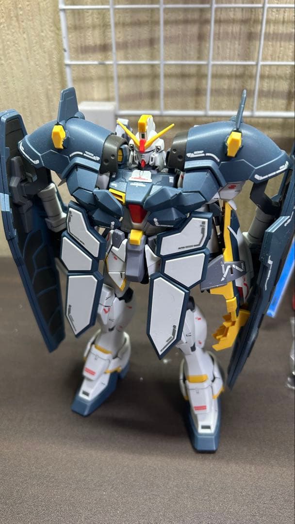 ガンプラ ジャンク プレバン品 2点set まとめ売り MG 2体