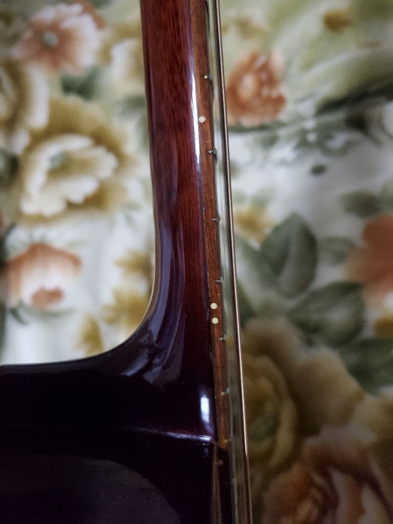 Fernandes F130 アコースティックギター 日本製