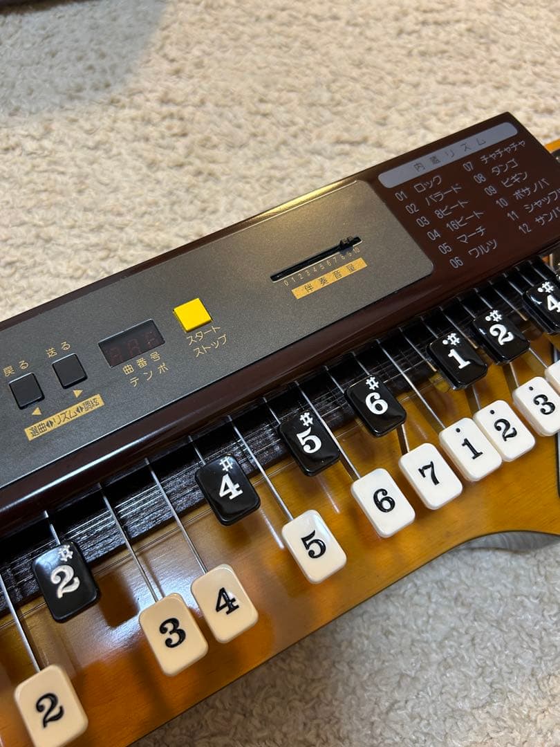 美品　SUZUKI大正琴 山びこ